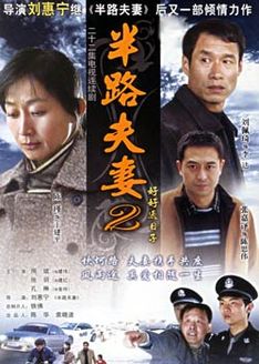 《半路夫妻第2部》全集在线观看-电视剧 剧集之家